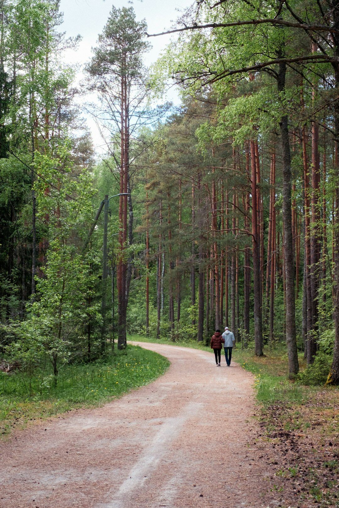 senior couple walking in nature